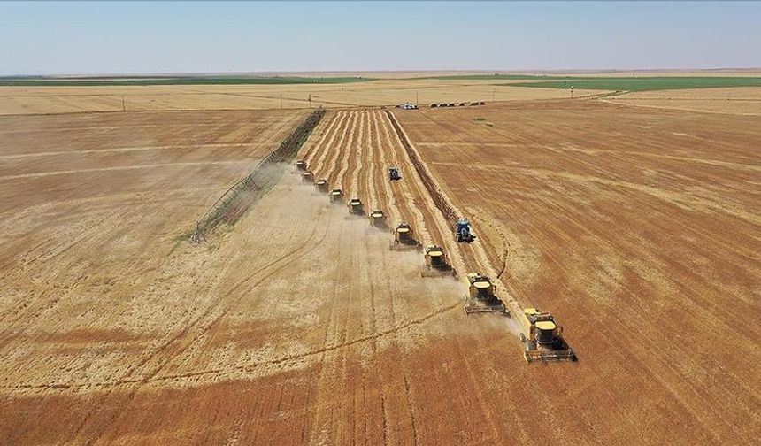IPARD III Programı kapsamında 6'ncı başvuru çağrı ilanı yayımlandı