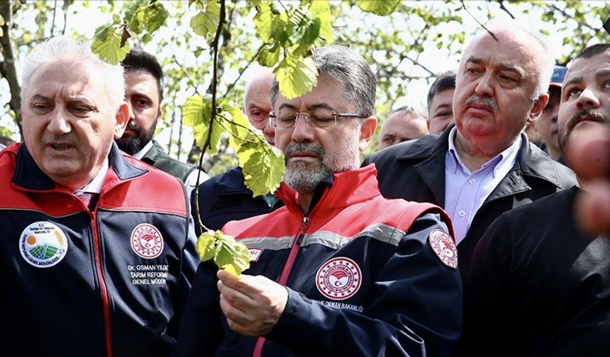 Bakan Yumaklı, zirai dondan etkilenen 16 meyve türü için destek verileceğini bildirdi