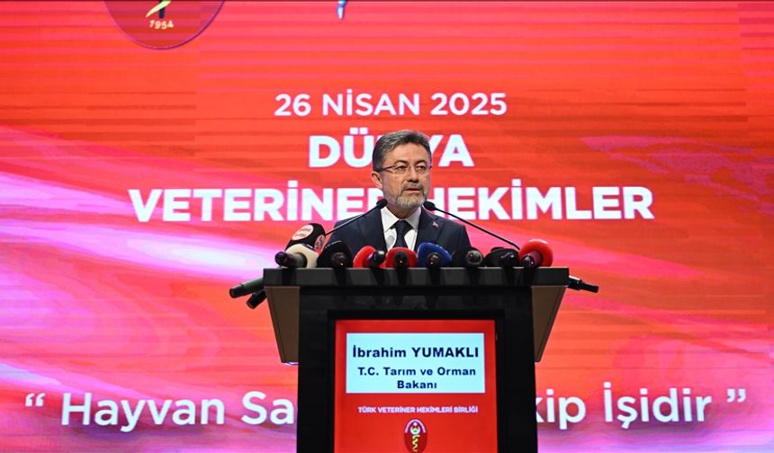 Sahipsiz köpek sorununun çözümünde yeni adım