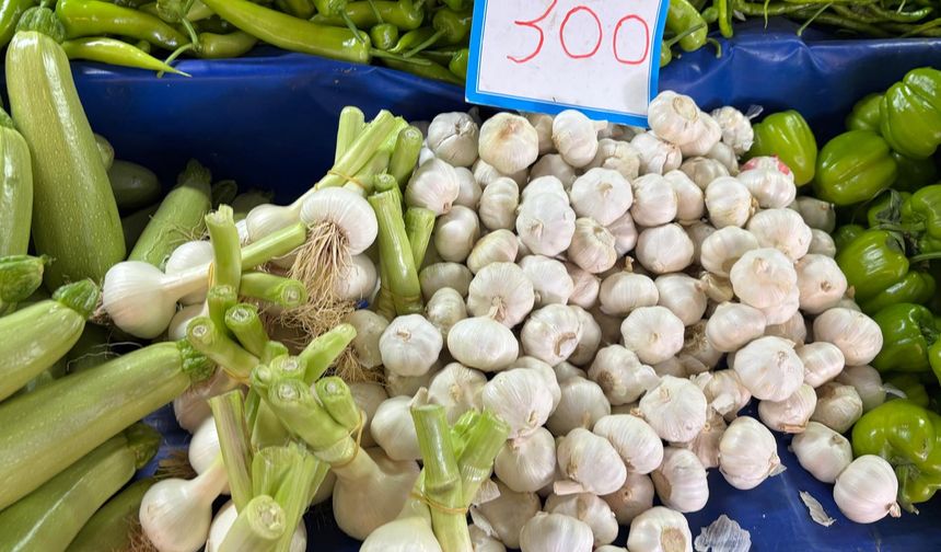 Biga Çarşamba Pazarı Meyve Sebze Fiyatları 30  Nisan 2025