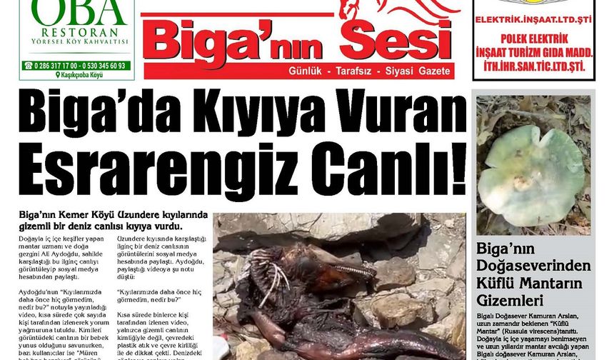 Çanakkale Biga'nın Sesi Gazetesi 11 Haziran 2025 Çarşamba