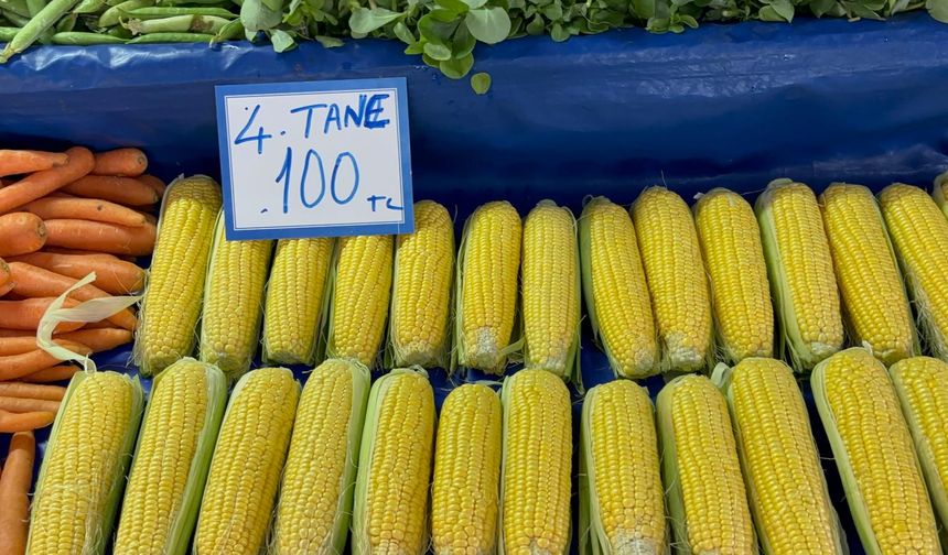 Biga Çarşamba Pazarı bu hafta bütçe dostu