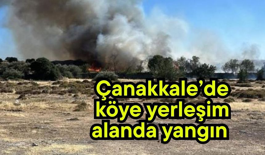 Çanakkale’de köye yerleşim alanda yangın