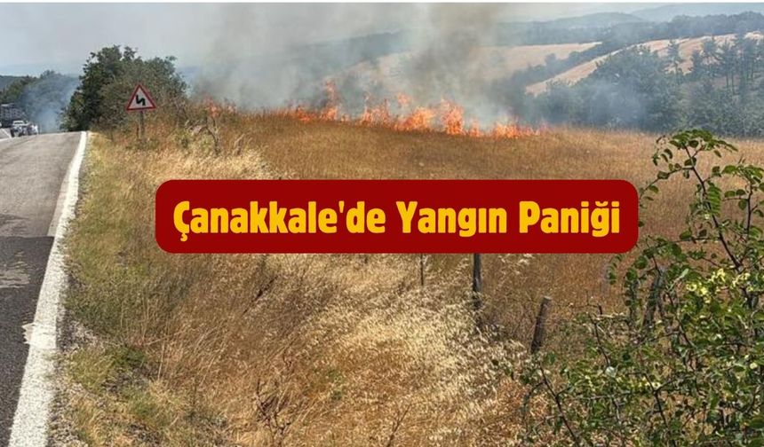 SON DAKİKA: Çanakkale'de Yangın Paniği