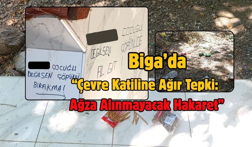 Biga’da Taşoluk barajı doğasına ihanet!