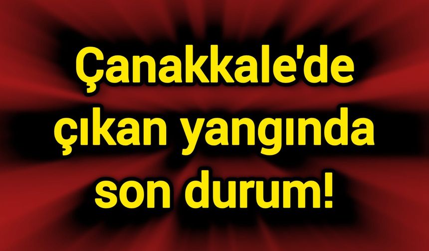 Çanakkale'de çıkan yangında son durum!