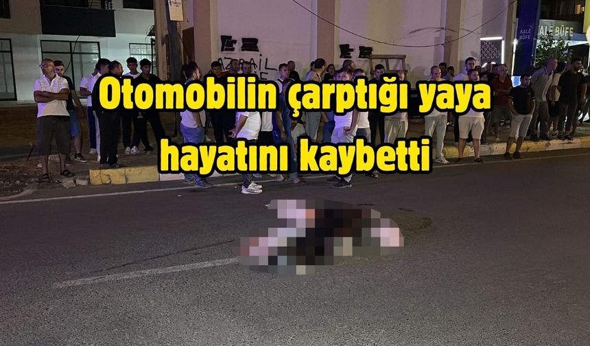Otomobilin çarptığı yaya hayatını kaybetti