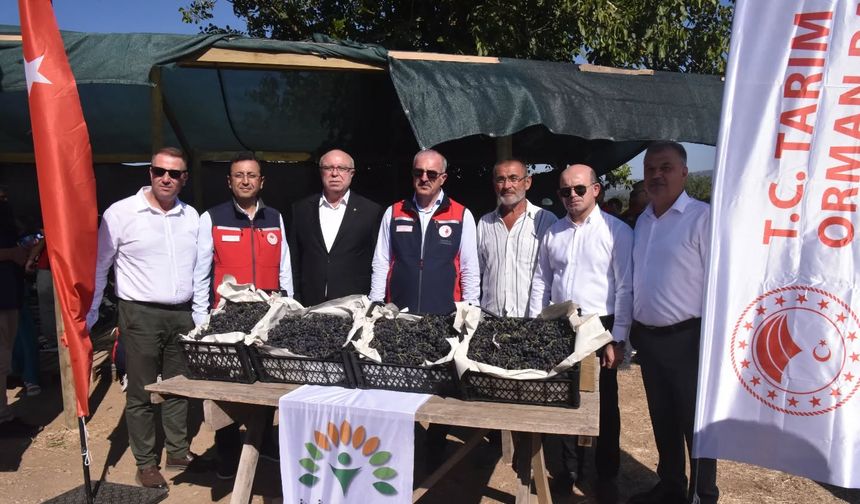Çanakkale Aronya Üretiminde Üçüncü Sırada