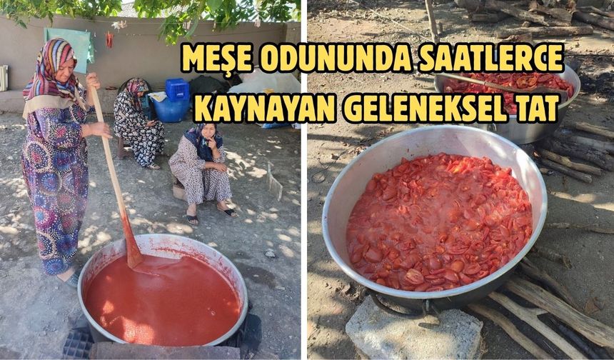 Çanakkale’de emekle kaynayan lezzet: Hacıpehlivan salçası