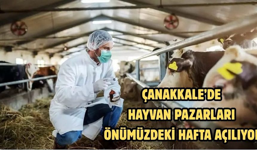 Çanakkale’de hayvan pazarları önümüzdeki hafta açılıyor