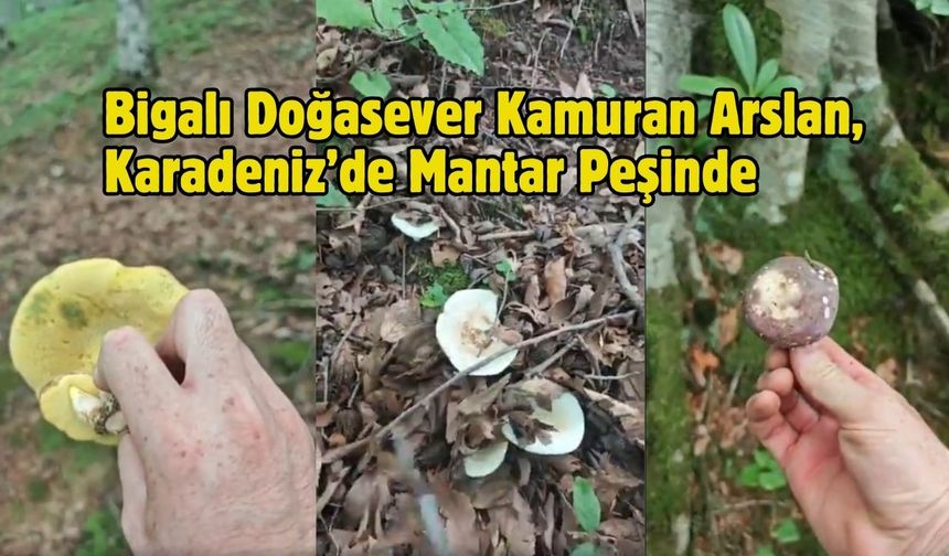 Bigalı Doğasever Kamuran Arslan, Karadeniz’de Mantar Peşinde