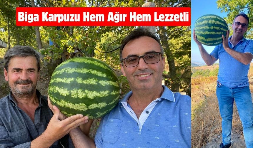 Biga Karpuzu Hem Ağır Hem Lezzetli