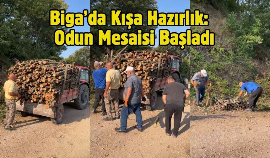 Biga’da Kışa Hazırlık: Odun Mesaisi Başladı