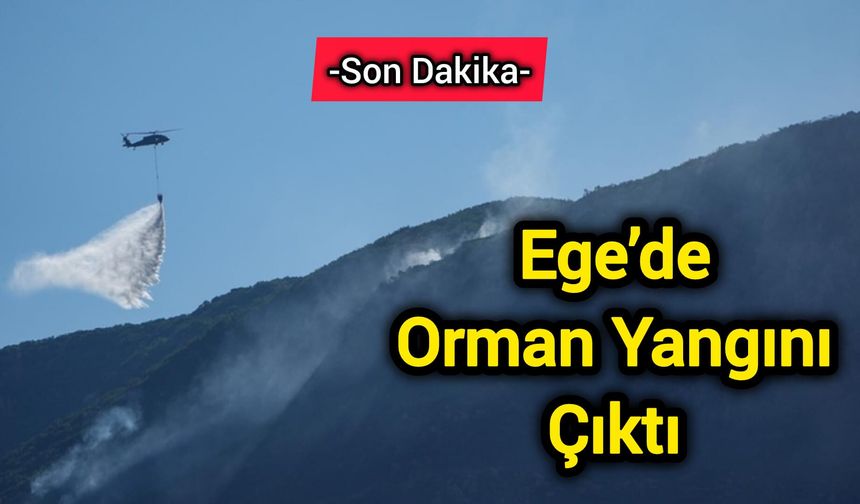 Ege’de orman yangını çıktı