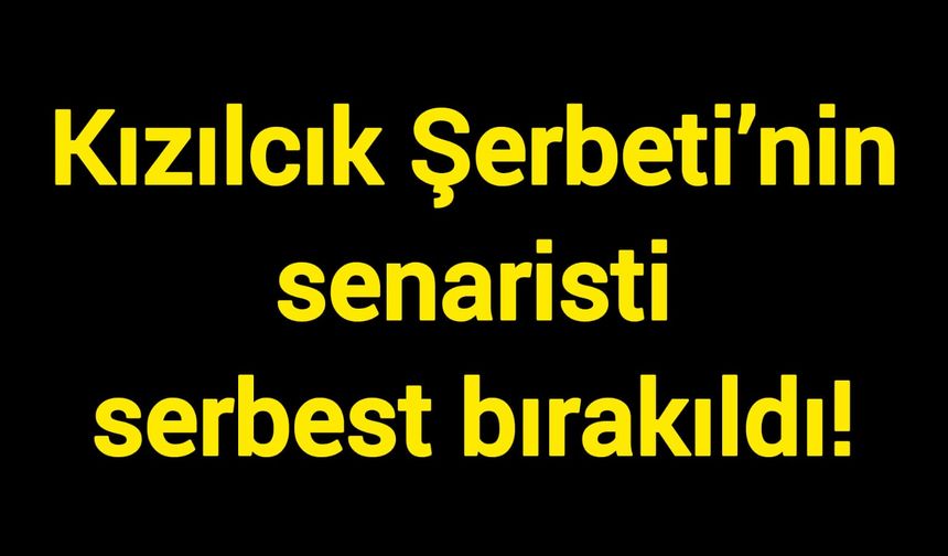 Kızılcık Şerbeti’nin senaristi serbest bırakıldı!