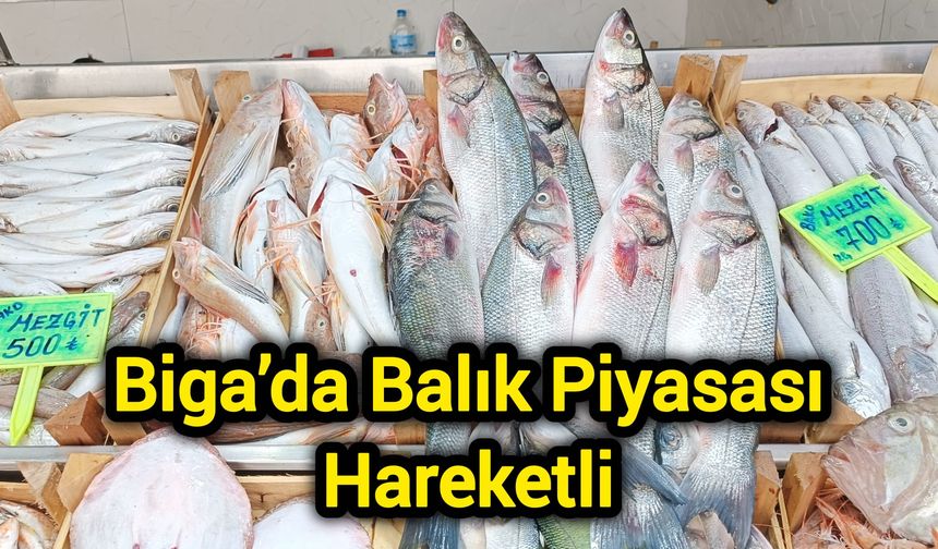 Biga’da Balık Piyasası Hareketli