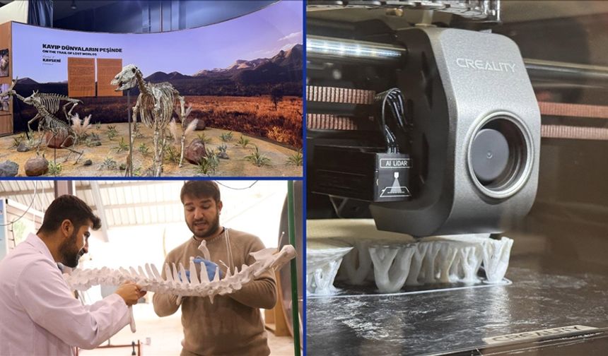 7,7 milyon yıllık fosiller 3d yazıcılarla hayata dönüyor