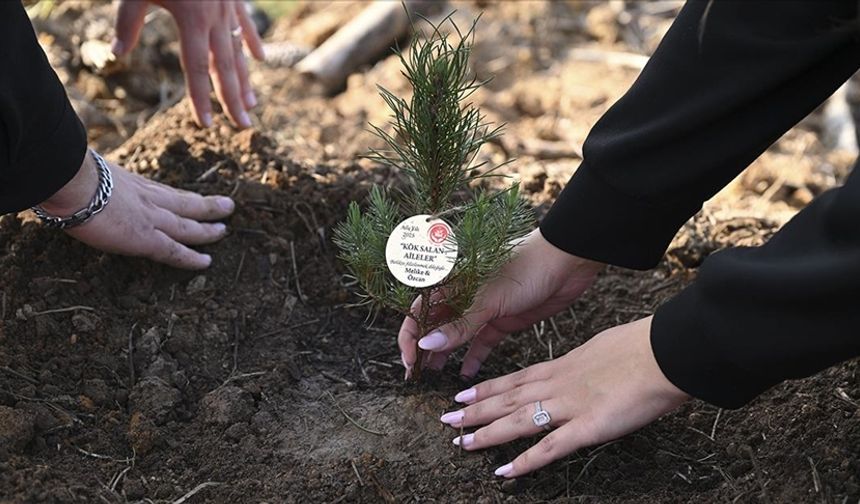 150 Bin Lira Faizsiz Evlilik Kredisine Yoğun İlgi
