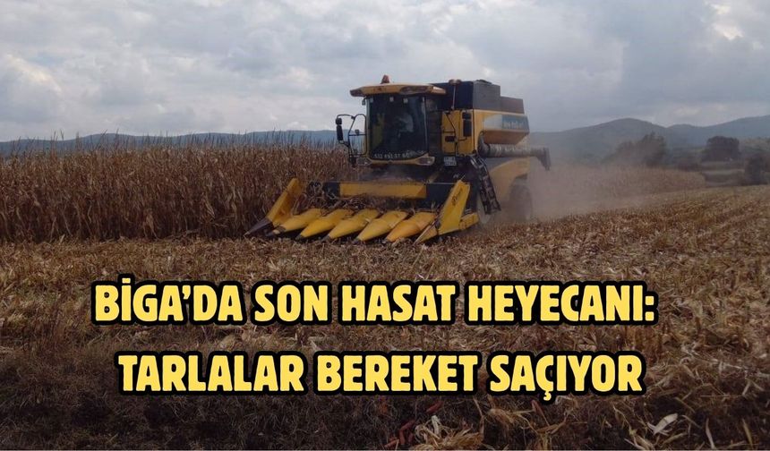 Biga’da son hasat heyecanı: Tarlalar bereket saçıyor