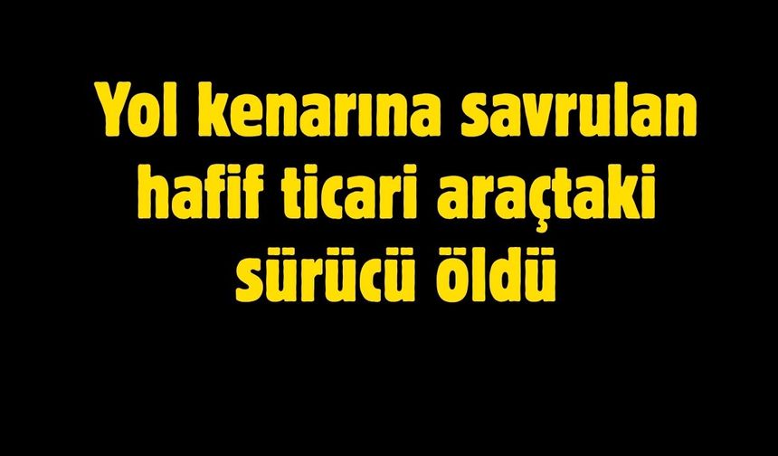 Yol kenarına savrulan hafif ticari araçtaki sürücü öldü