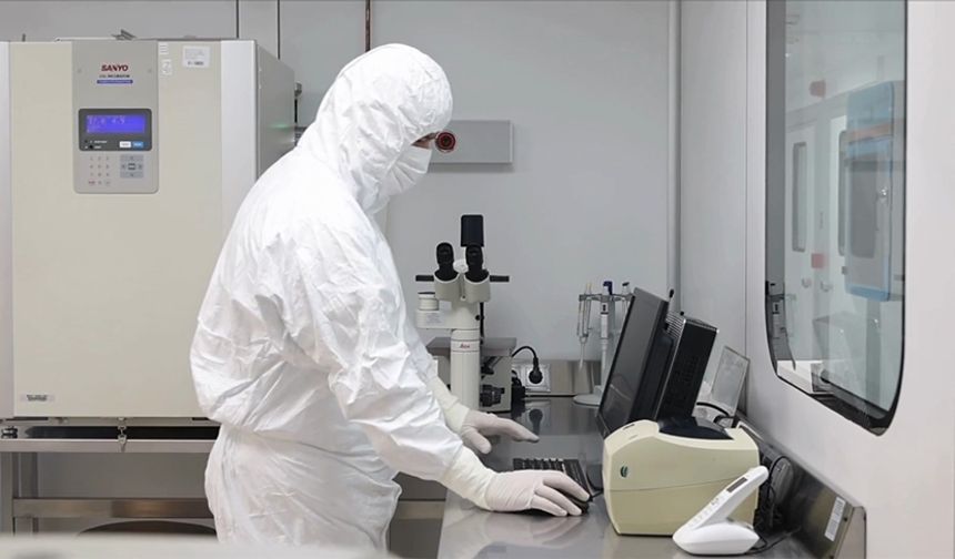 Kök hücre tedavisi standart değil, deneysel aşamada