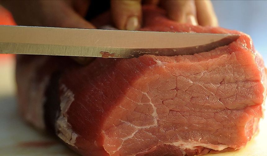 Tavuk ve Hindi Etinde E. Coli Alarmı: Uzmanlardan Uyarı!