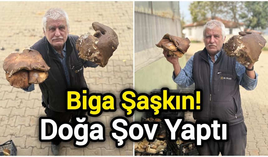 Biga Şaşkın! Doğa Şov Yaptı