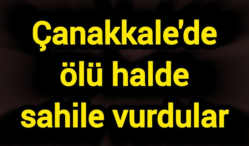 Çanakkale'de ölü halde sahile vurdular