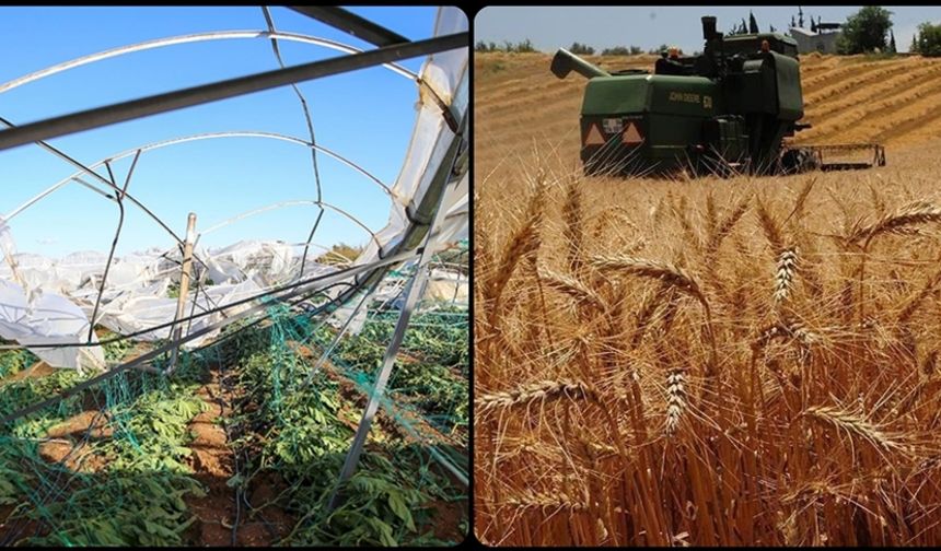 TARSİM 27 milyar lira hasar ödemesi yaptı