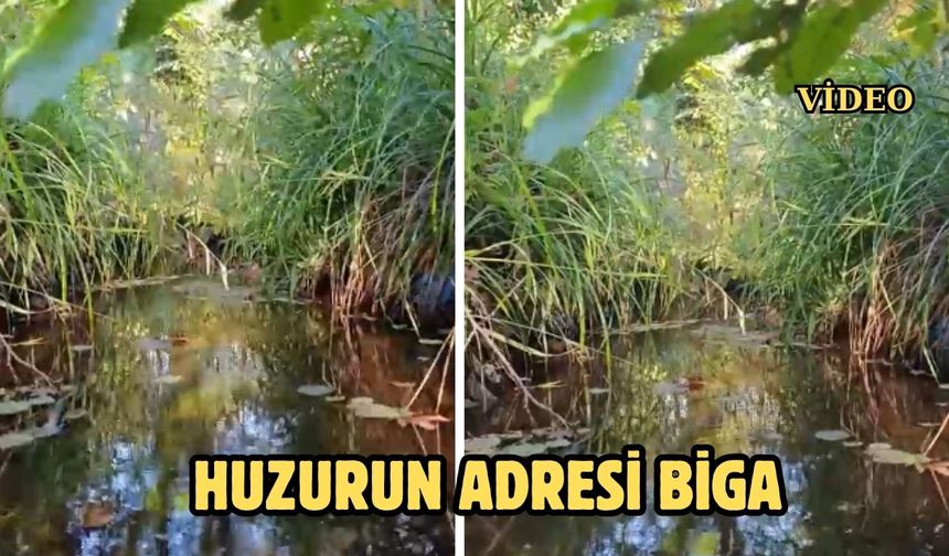 Huzurun Adresi Biga