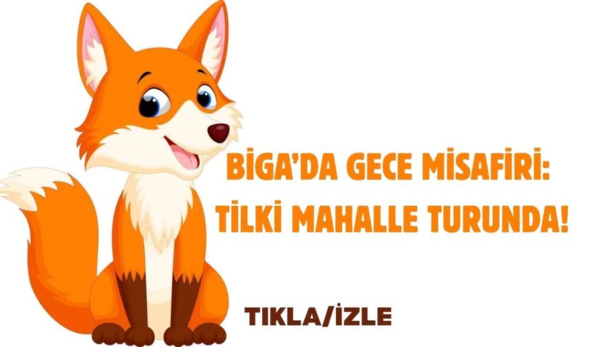 Biga’da gece misafiri: Tilki mahalle turunda!