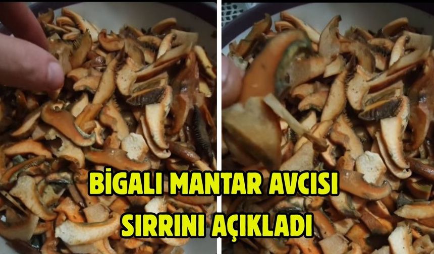 Bigalı mantar avcısı sırrını açıkladı