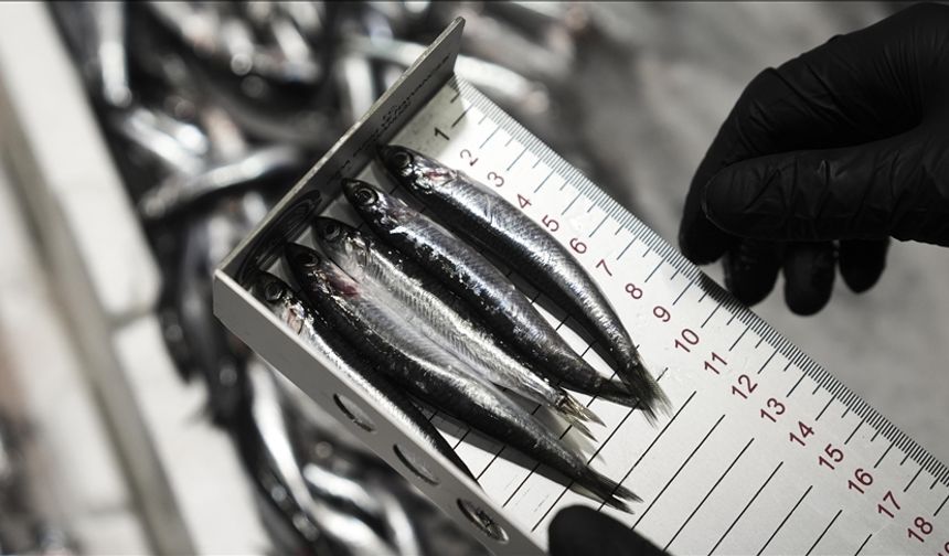 Bu yıl 6 bin 161 su ürünleri denetimi yapıldı