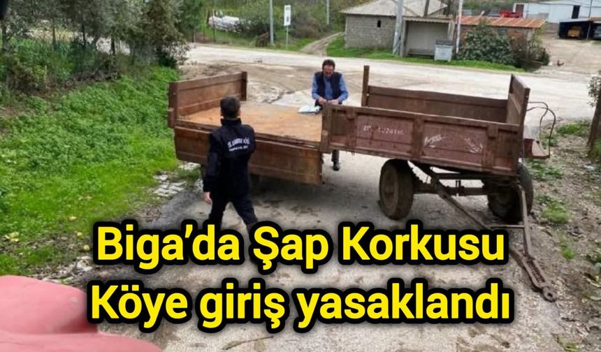 Biga’da Şap Korkusu: Köye giriş yasaklandı