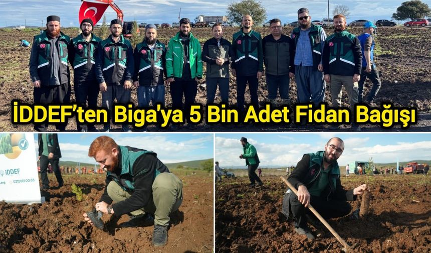 İDDEF’ten Biga'ya 5 Bin Adet Fidan Bağışı