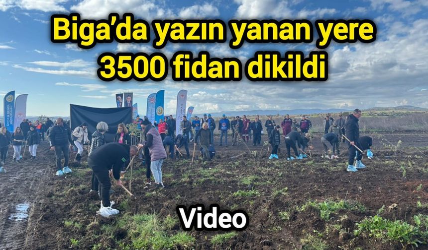 Çanakkale Biga’da yazın yanan yere 3500 fidan dikildi