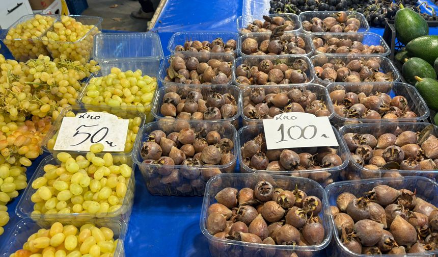 Biga'nın Unutulmaya Yüz Tutan Lezzeti Pazara İndi