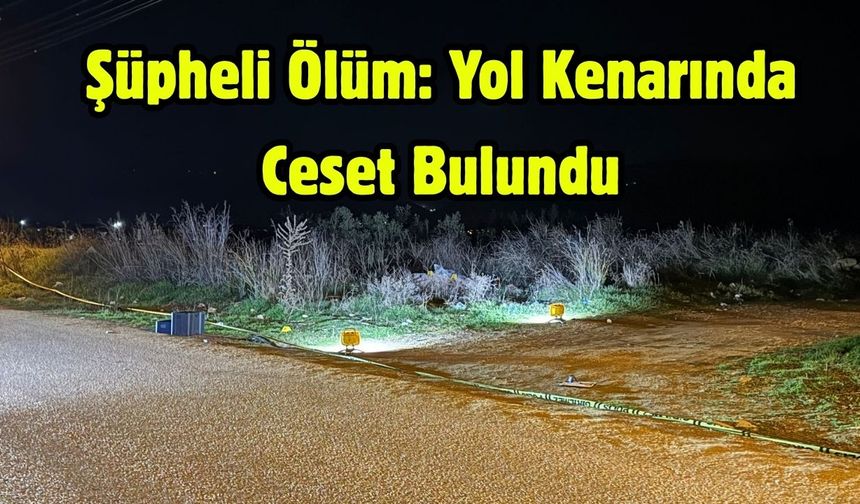 Şüpheli Ölüm: Yol Kenarında Ceset Bulundu