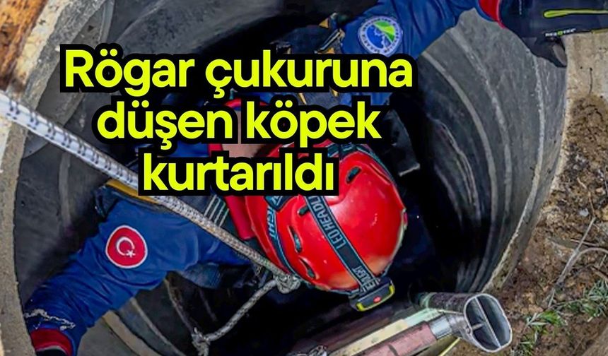 Rögar çukuruna düşen köpek kurtarıldı