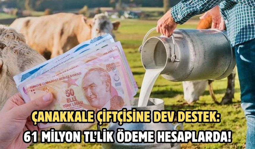 Çanakkale çiftçisine dev destek: 61 milyon TL’lik ödeme hesaplarda!