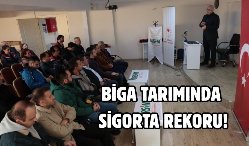 Biga tarımında sigorta rekoru!
