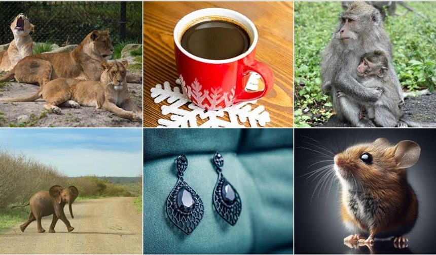 Dünyada 2025'te yaşanan tuhaf olaylar