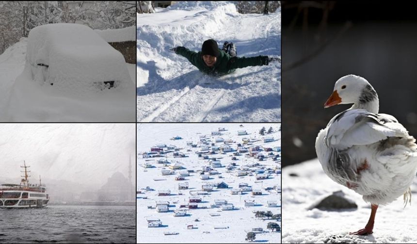 Birçok il yeni yılın ilk gününde beyaza büründü