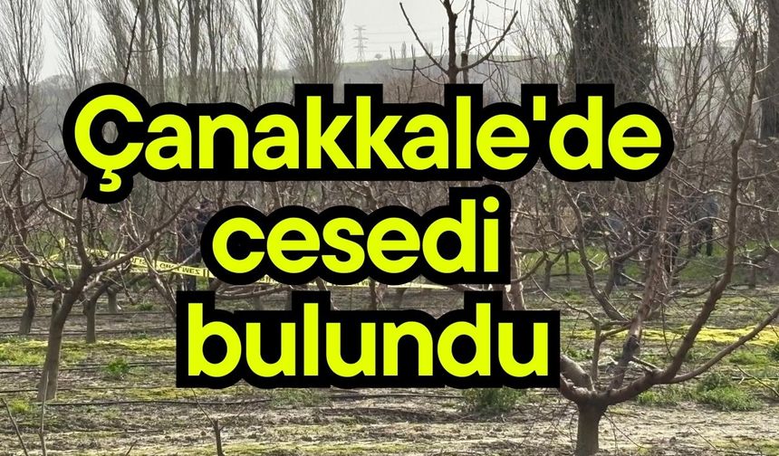 Çanakkale'de cesedi bulundu (Video)