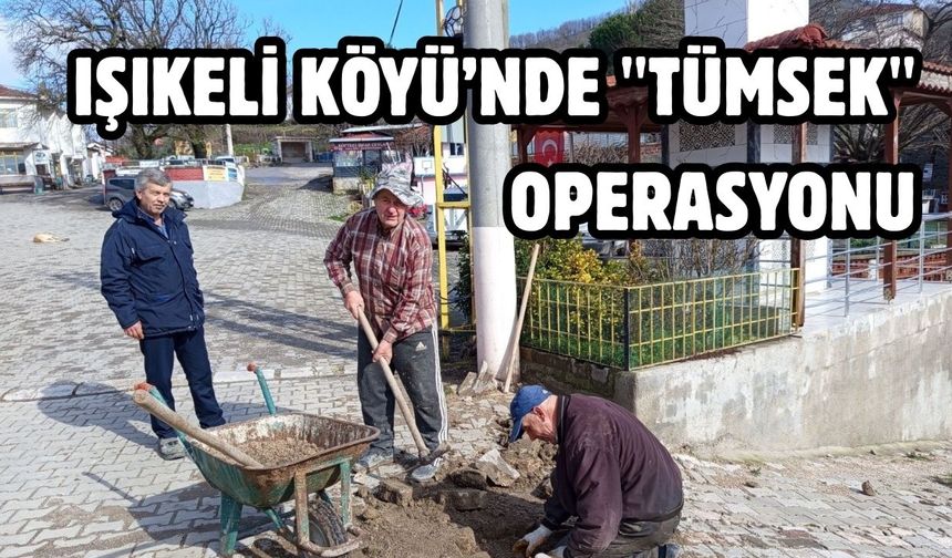 Işıkeli Köyü’nde "Tümsek" operasyonu