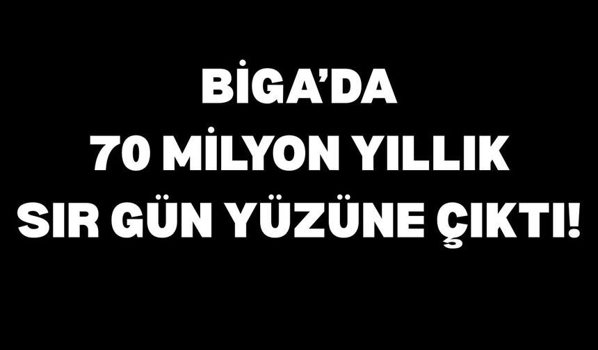 Biga’da 70 milyon yıllık sır gün yüzüne çıktı!