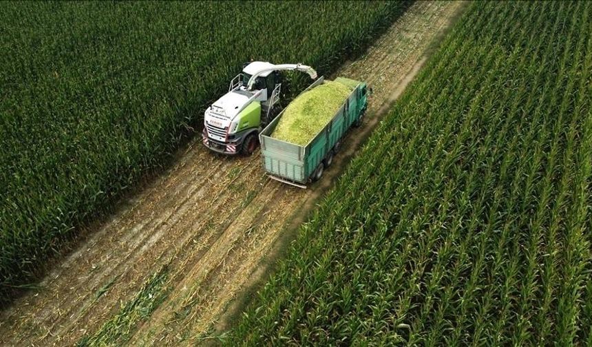 Tarım ÜFE ocakta aylık bazda yüzde 8,46 arttı