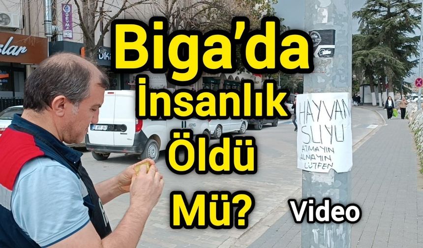 Biga’da İnsanlık Öldü Mü?