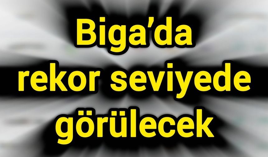 Biga’da rekor seviyede görülecek