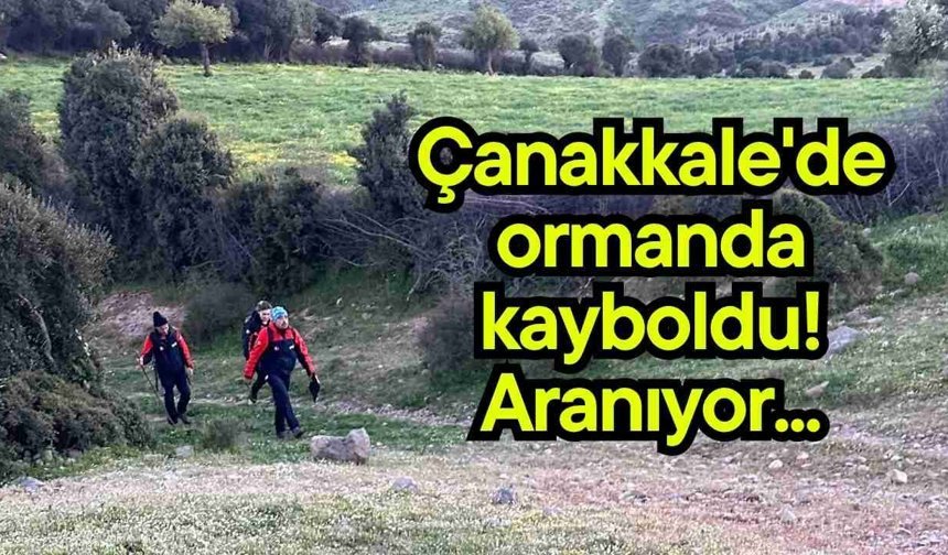 Çanakkale'de ormanda kayboldu! Aranıyor...